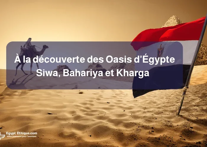 À la découverte des Oasis d'Égypte _ Siwa, Bahariya et Kharga