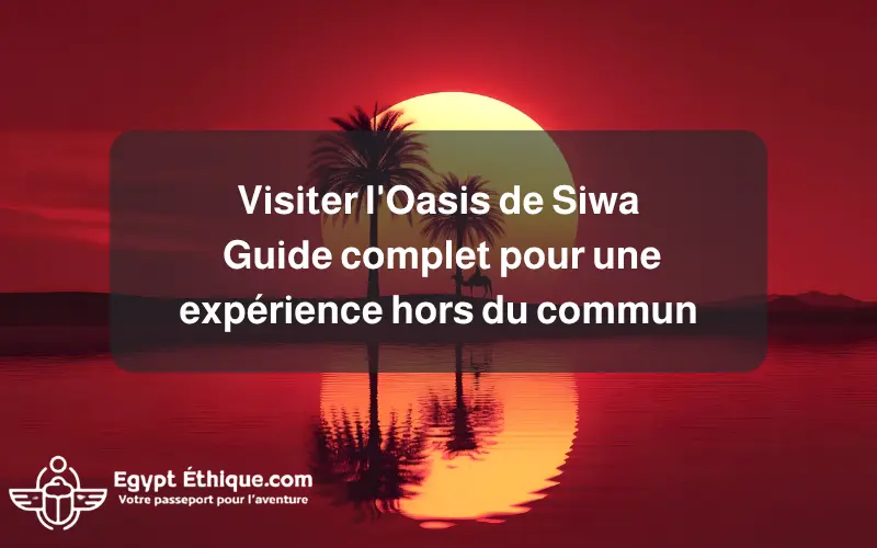 Visiter l'Oasis de Siwa guide complet pour une expérience hors du commun